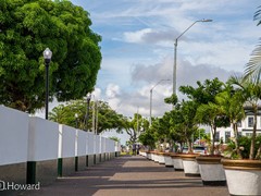 Top 10 Green Paramaribo Photo walk
