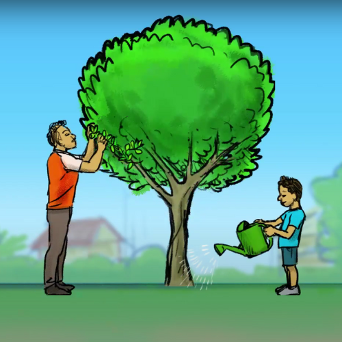 Lesplannen groene woonomgeving voor het basisonderwijs