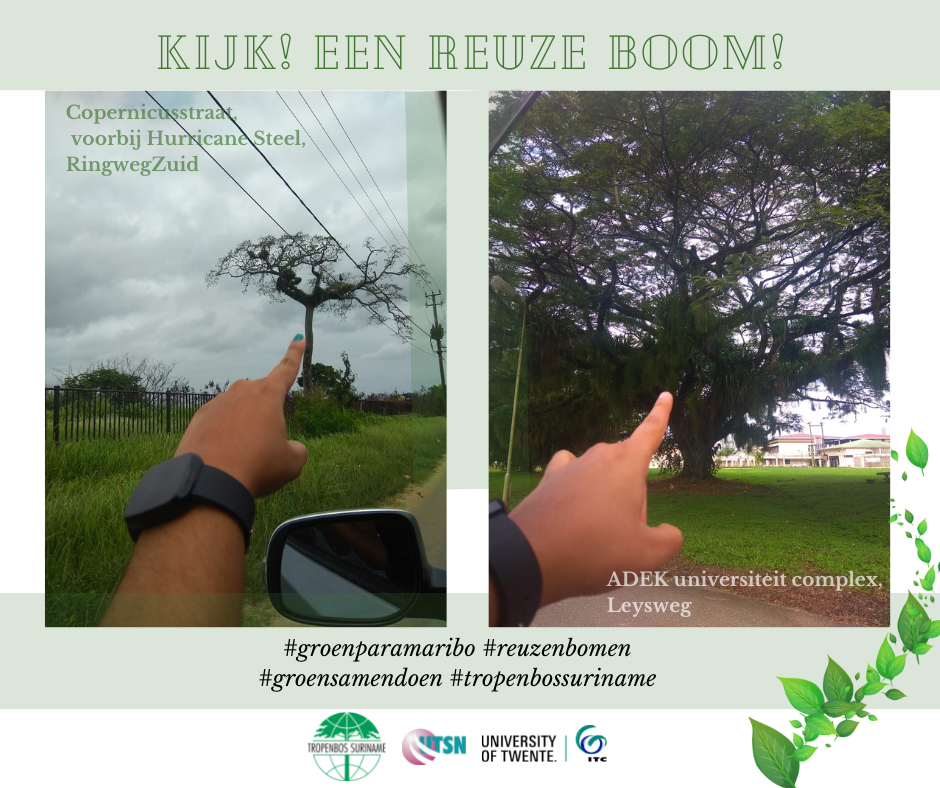 "Kijk! De Groene Reuzen" Challenge