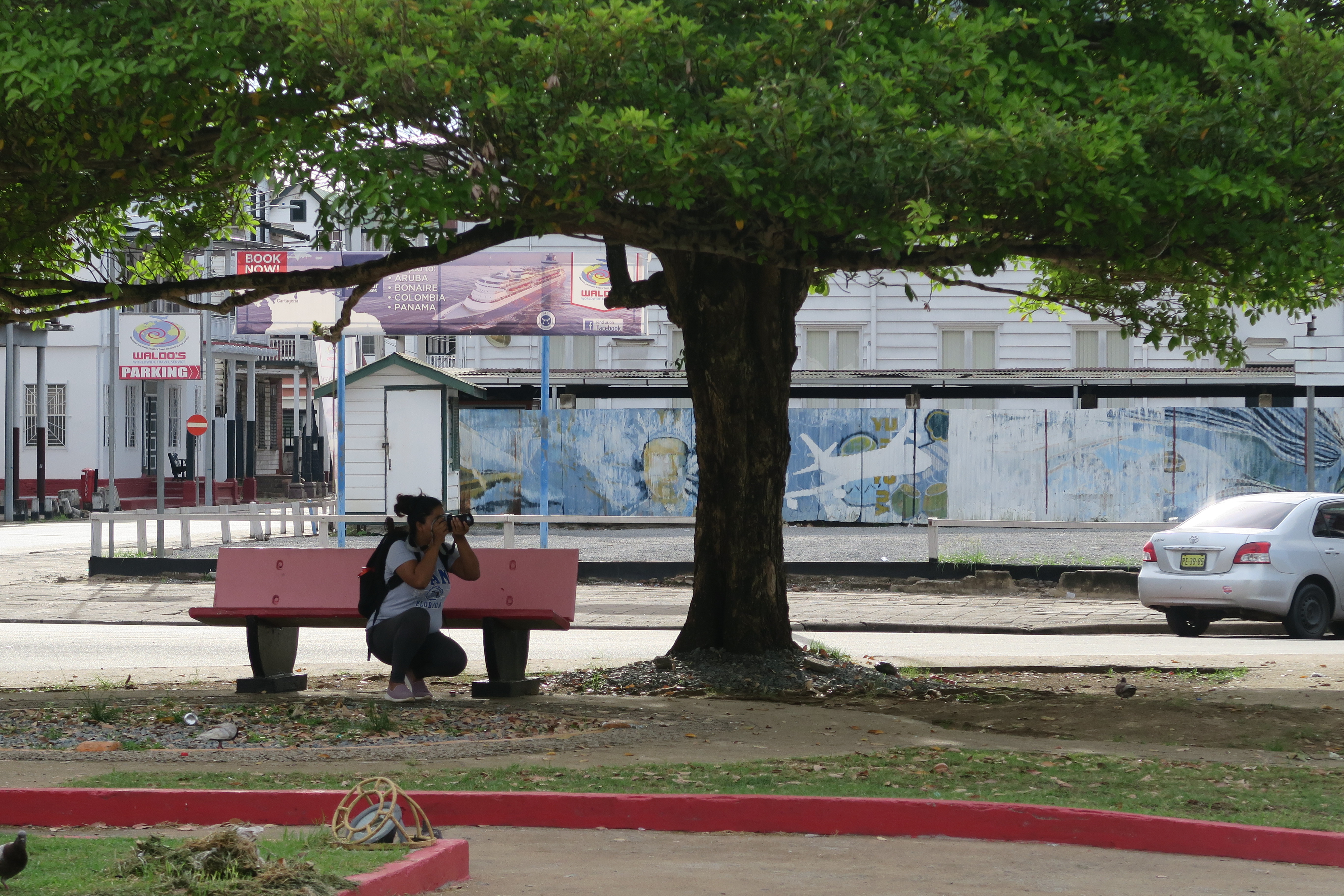 Green Paramaribo Photo walk