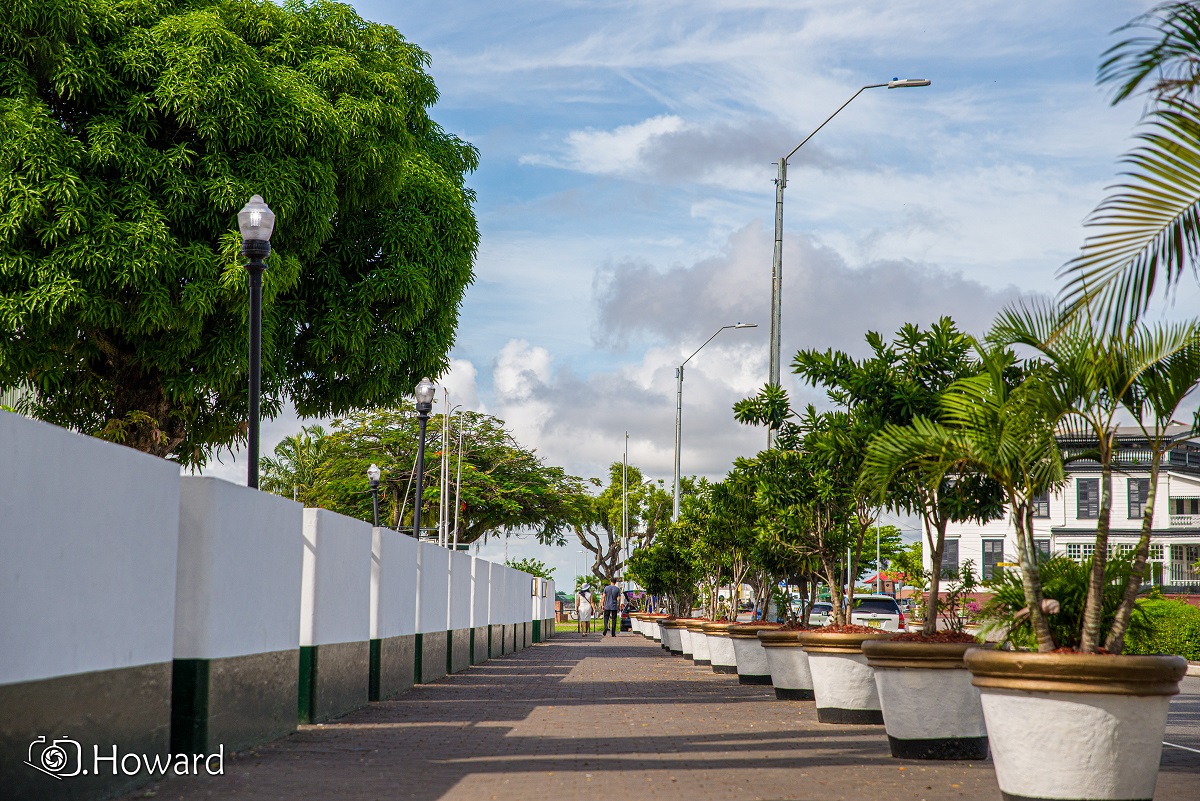 Top 10 Green Paramaribo Photo walk