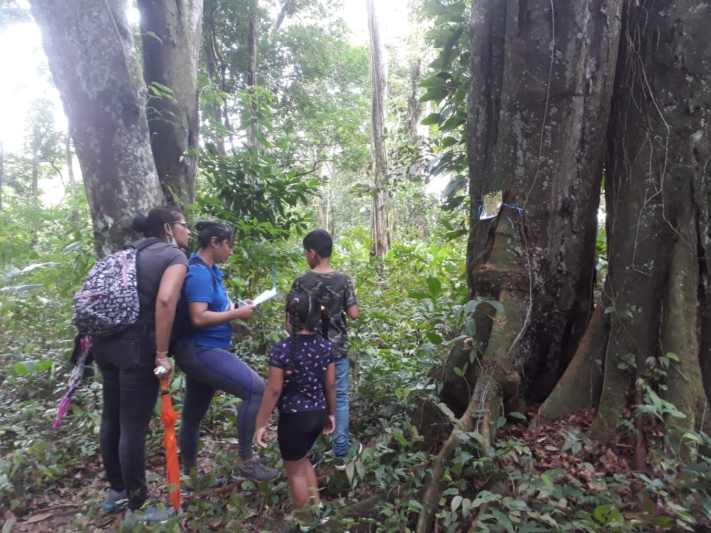 Successful sport-scavenger hunt at the Cultuurtuin