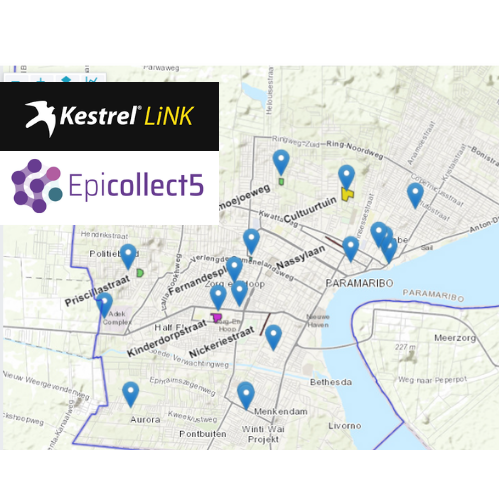 Citizen Science monitoring Reunion