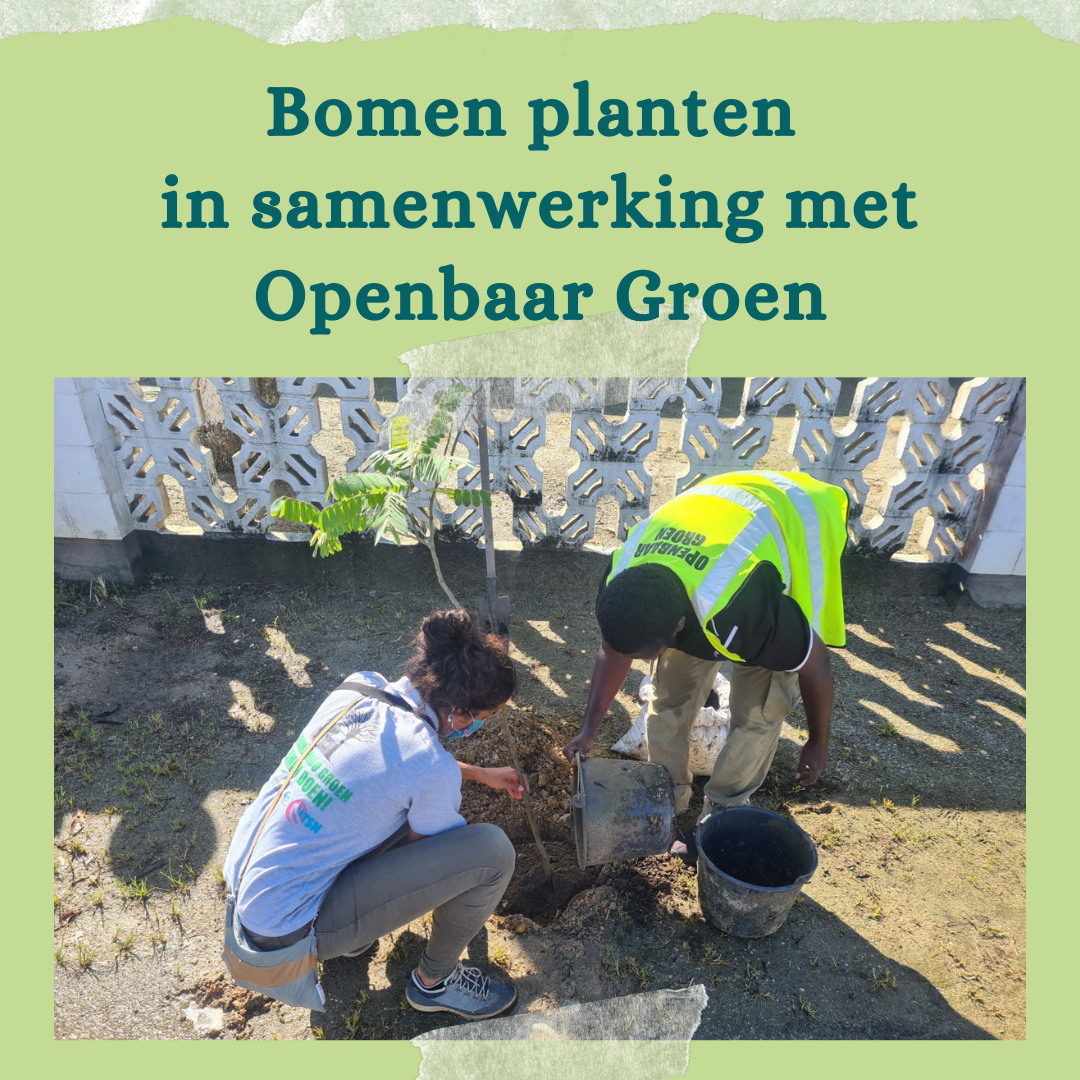 The right tree for the right location