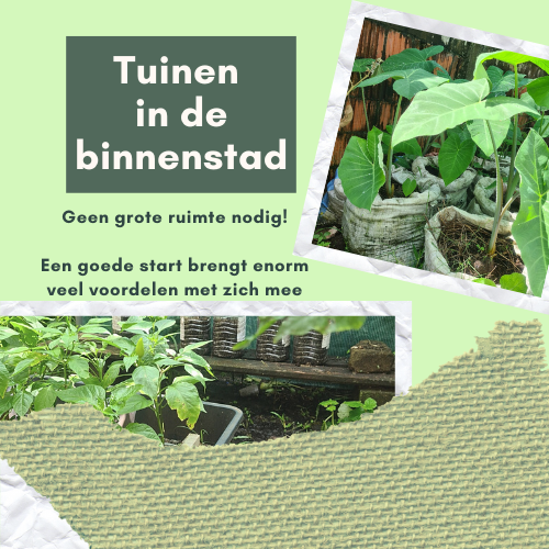 Series: "Foto Prani"