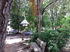 Help mee aan het monitoren van stedelijk groen in Paramaribo